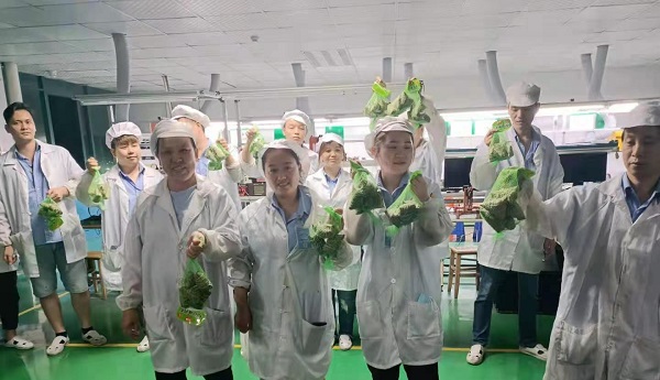 粉色视频APP看片免费下载新能源锂粉色视频免费在线观看厂家,向锂电芯生产线发放端午福利