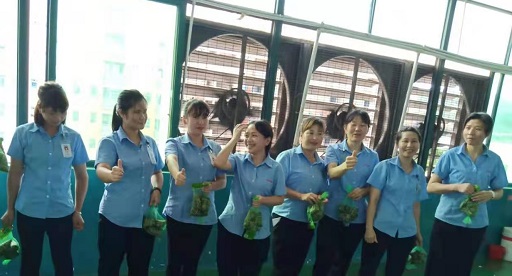 粉色视频APP看片免费下载新能源锂粉色视频免费在线观看厂家,向组装pack生产线发放端午福利